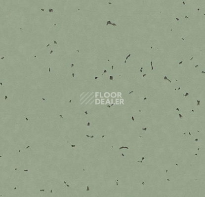 Линолеум Forbo Sphera Energetic 50236 thyme фото 1 | FLOORDEALER